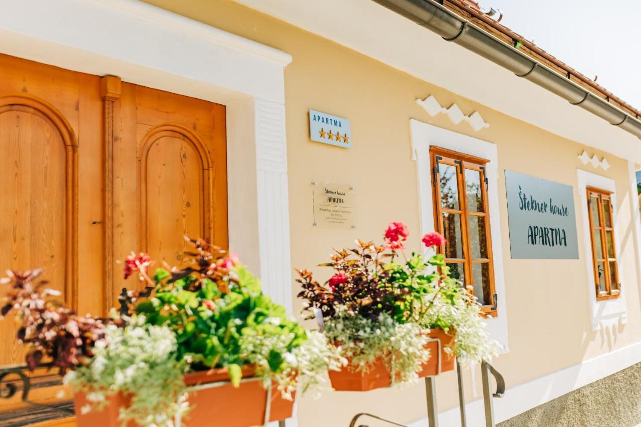 Stekner House Apartma Ljubno Экстерьер фото